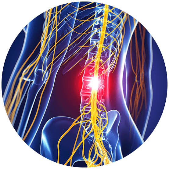 Spinal Cord Injury